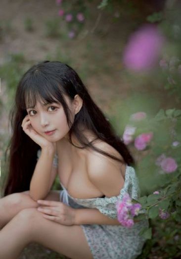 少年白马醉春风第二季免费观看_DVD手机免费观看完整