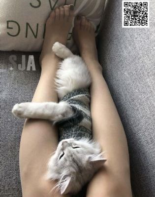 生活的玛丽_蓝光免费观看最新